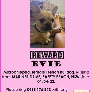 Meet your Posher, Leonie